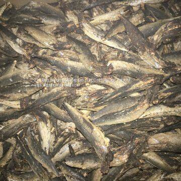 DRIED SMOKE FISH