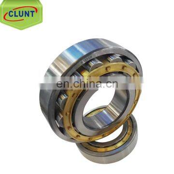 N319EM Single Row Cylindrical Bearing Brass Cage Roller Bearing N319