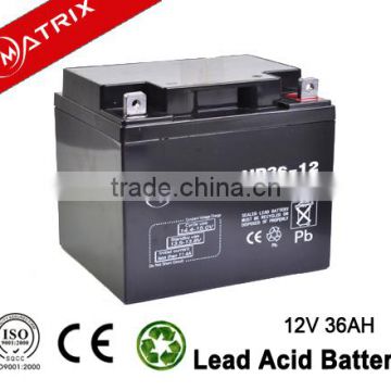 Wholesale 12V 36AH dry charged car battery