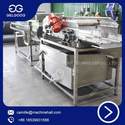 Potato Washing Equipment Vegetable Washing Machine Manufacturers Bubble Washing Machine