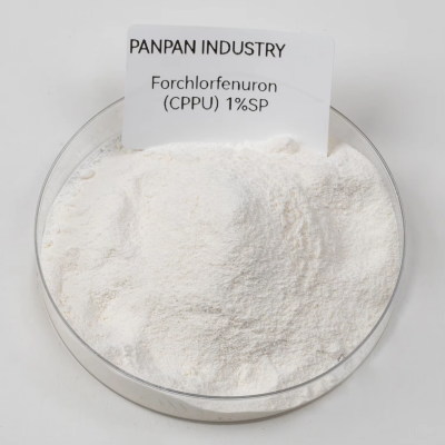 Plant Hormone Cppu Forchlorfenuron 1%sp for Grape