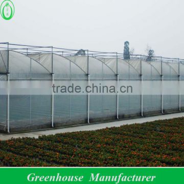 Cut Flower Greenhouse For Middle East