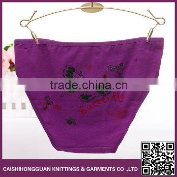 China Professional Manufacture Lingerie photo-2