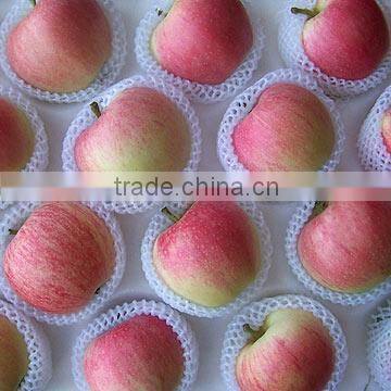 EFW-75 EPE Foam Fruit Net Making Machine photo-6