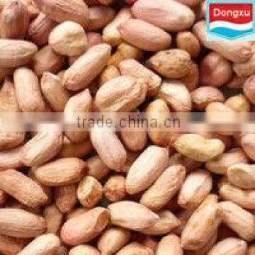 high quality peanut seed for sale