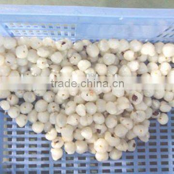 Separate Fruit Skin and Pulp Machine/ Lychee And Longan Stripper/lychee Peeling photo-4