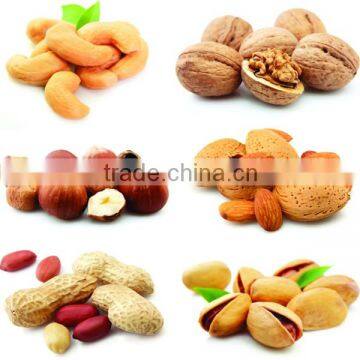 Wet Type Almonds Peeling Machine for Sale, Low Price Peeler Processing Machine photo-5