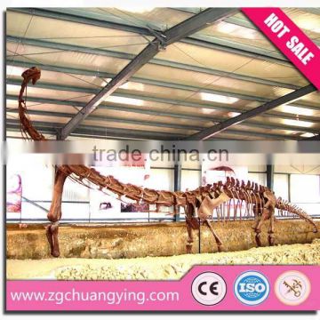 The dinosaur skeleton model for park