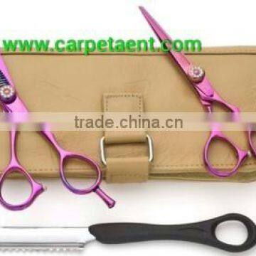 Beautiful barber shears/Barber kit/Thinning scissor