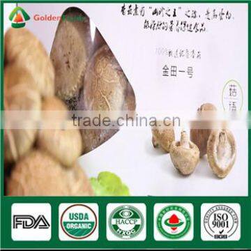 Mushrooms Product Type and Shiitake Mushroom Growing Seed Spawn Log photo-2