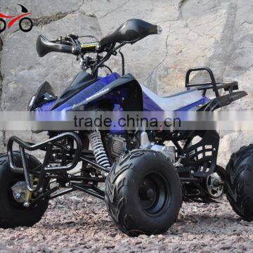 125cc ATV Quad Bike ATV differential for sale with CE QWMOTO