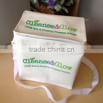 Fashion Eco-Friendly Cheap Cooler Bag for juice carry