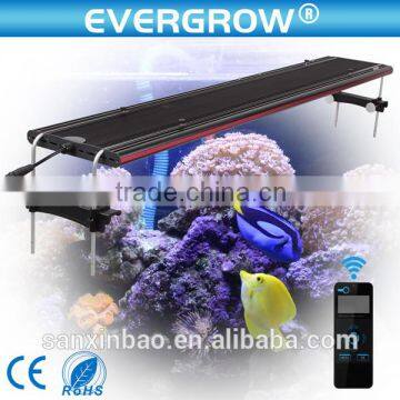 2016 Evergrow 48inch Intelligent Sunrise Sunset programmable led aquarium lighting