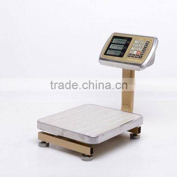 High Precision TCS Folding Platform Scale