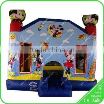 Hot Sale Customized Inflatable Bouncer House