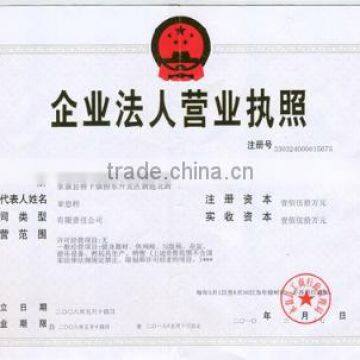 Business License of Enterprise Legal Person