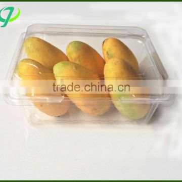 Disposable fruit food container packing tray