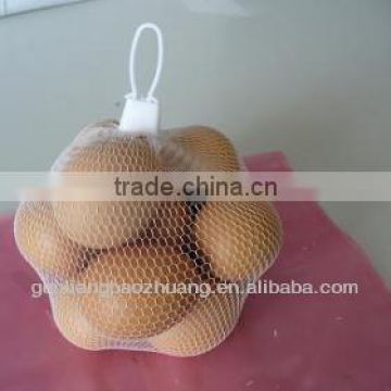 PE Plastic Fruit and Vegetable Packaging Net