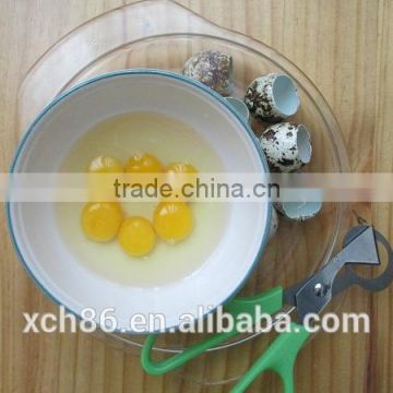 500pcs/Lot Quail Egg Scissors