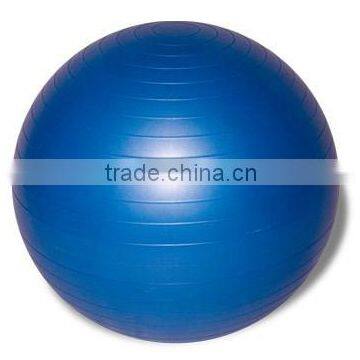 Professional Fitness ball