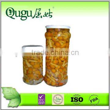 Canned Nameko mushroom in brine/canned champignon mushroom/canned mushroom