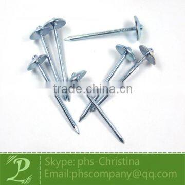 umbrella head corrugated Roofing nail in China