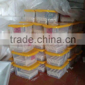 2014 Top Selling 9 Eggs Mini Quail Egg Incubator for Sale With CE Approved ZH-9(12V) photo-4