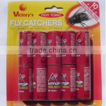 flycatcher