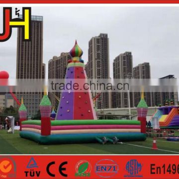 Used Inflatable Rock Climbing Wall/Large Inflatable Climbing Games