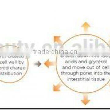 Good Effect Taibo Lipo Loss Weight Laser Machine(809nm Laser,led) for Sale/Portable Taibo Lipo Loss Weight Laser Machine