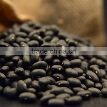 Whole sale black kidney bean