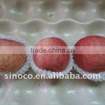 Chinese Fuji Apple Fruit With Good Quality