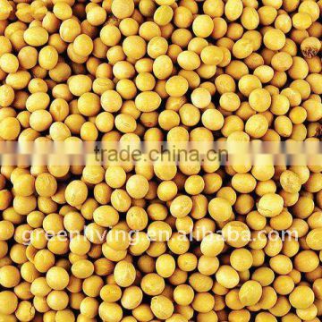 Soya bean supplier from China