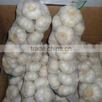 2013 FARMLAND PURE WHITE FRESH GARLIC