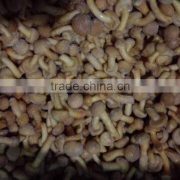 frozen nameko mushroom