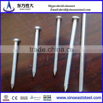 Hot sale!! common iron nail for concrete building and wood nail low prices from Tianjin factory