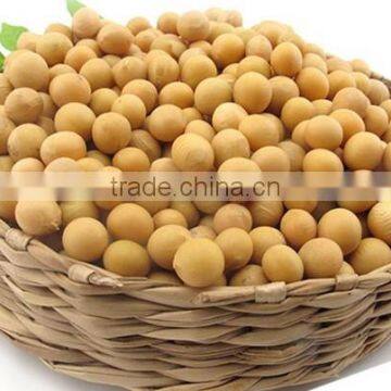 Soybeans Kernel
