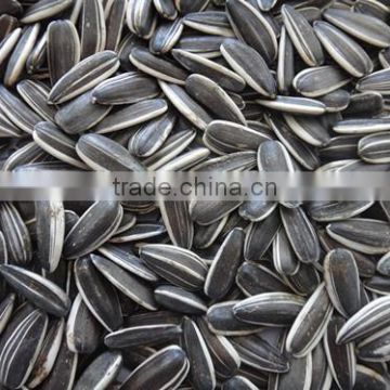 price of sunflower seeds with bright black color