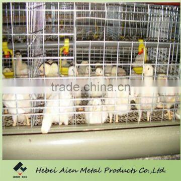 layer baby chicks cage