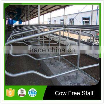 Galvanized dairy cow farm equipment cow free stall cow headlocks