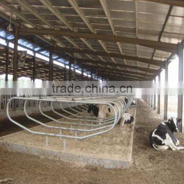 Hot dip galvanized Dairy cow stall Cow Barn building