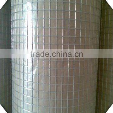1.8*30m High Quality Galvanized Welded Wire Mesh / PVC Coated Galvanized Welded Wire Mesh for Sale photo-6