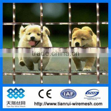 stainless steel crimped wire mesh screen / mine screen mesh