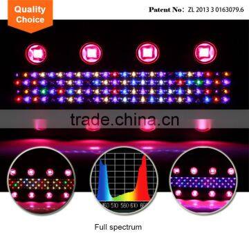 Adjustable Horticulture System Full Spectrum Led Grow Light 1000w photo-4