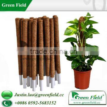 Plant Stake for Greenhouse Flowers photo-1