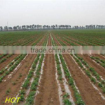 High Quality! Agricultural Mulch Film/PE Mulch Film/ PE Agriculture Film photo-5