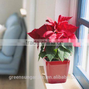 Hydroponic Bright Color Small Plastic Flower Pot for Home Garden Interior Christmas Decoration photo-6