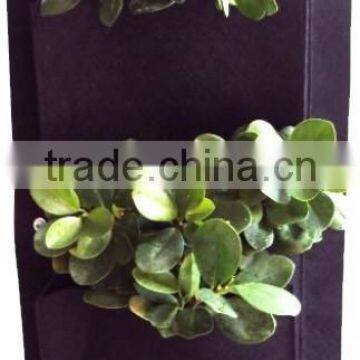 2 Puches Hanging Wall Fabric Pot Container Vertical Garden photo-3