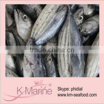 Zhejiang High Quality Skipjack Tuna lot number#kmw4028