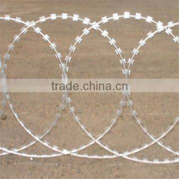 Barbed Wire Razor Wire Mesh Wall Spikes photo-5